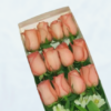 Caja con 12 Rosas Rosadas
