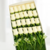 Caja con 24 Rosas Blancas